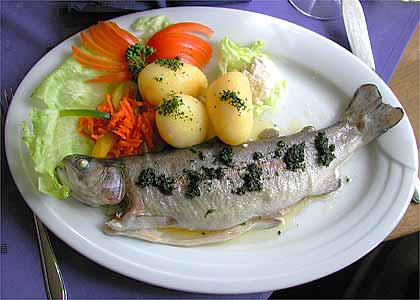 Forelle blau mit Schwenkkartoffeln, Sahnemeerrettich und Salat